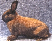 Thüringer